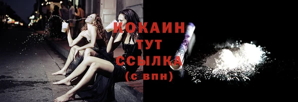прущие грибы Инсар