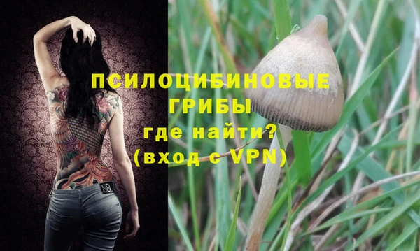 прущие грибы Инсар