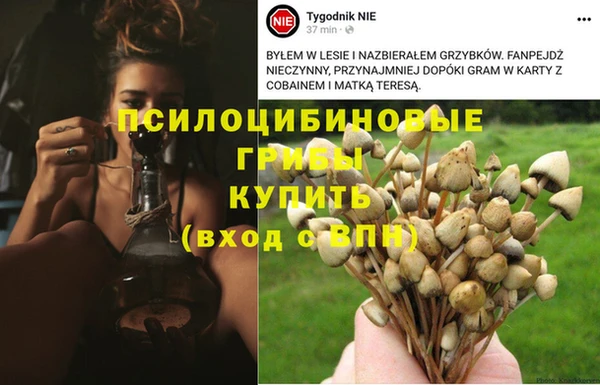 дистиллят марихуана Иннополис